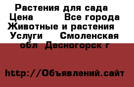 Растения для сада › Цена ­ 200 - Все города Животные и растения » Услуги   . Смоленская обл.,Десногорск г.